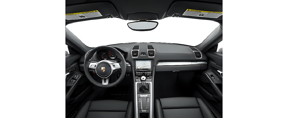 Porsche Cayman 2016 25