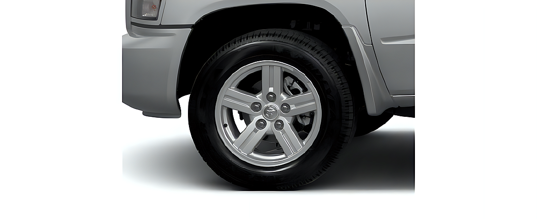 Dodge Dakota 2010 31