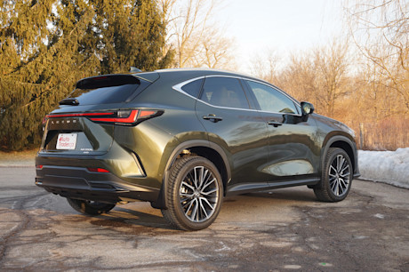 Editorial 2025 lexus nx 350h td jl 250507 14