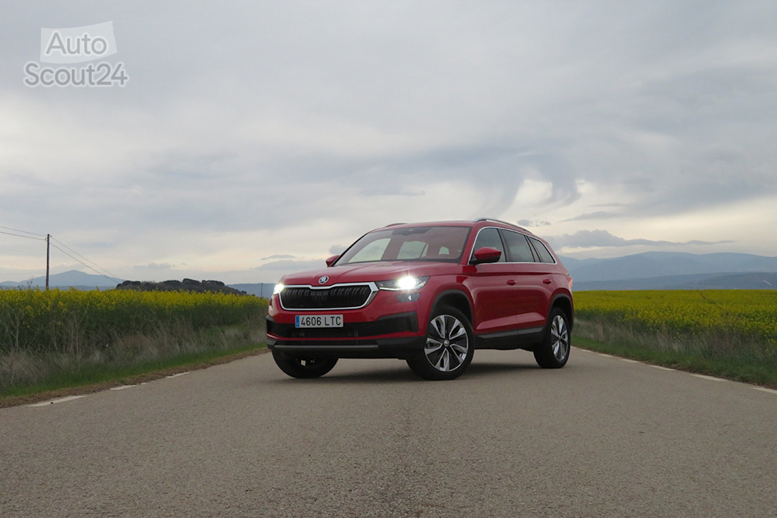 2_skoda kodiaq.JPG