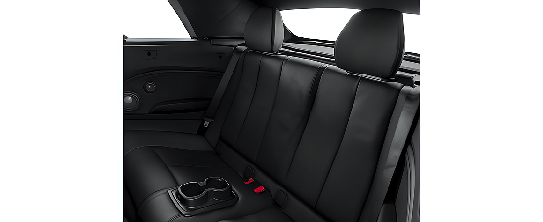 BMW 2 Series 2016 55
