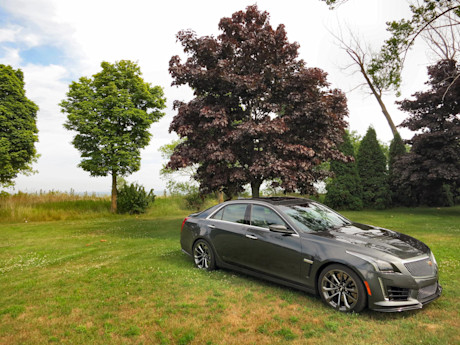 Editorial 11 bh 2016 cadillac cts v