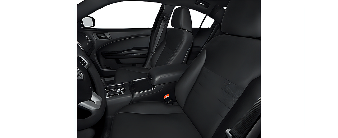 Dodge Charger 2014 8