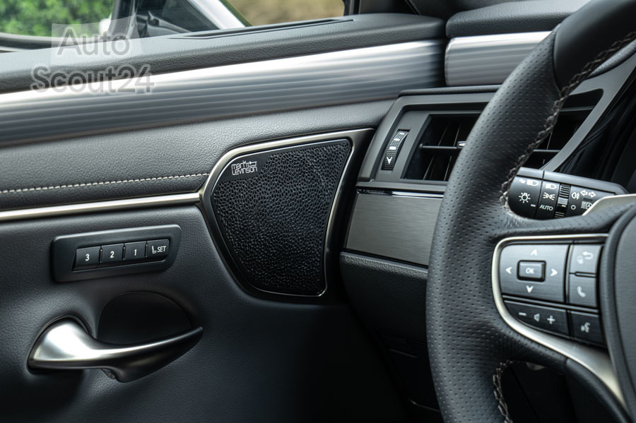 Lexus ES 300h F SPORT 48.JPG