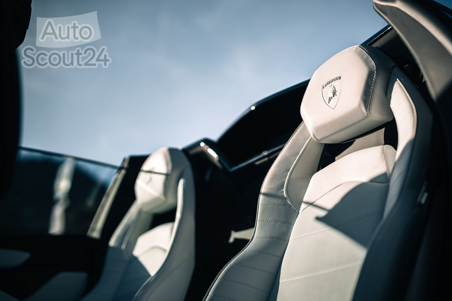 Lamborghini-Aventador-Ultimae-Roadster (10)