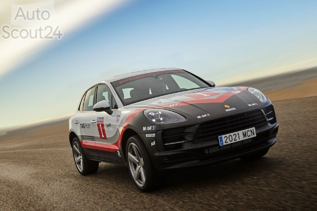 macan-tribute-03 (2).jpg