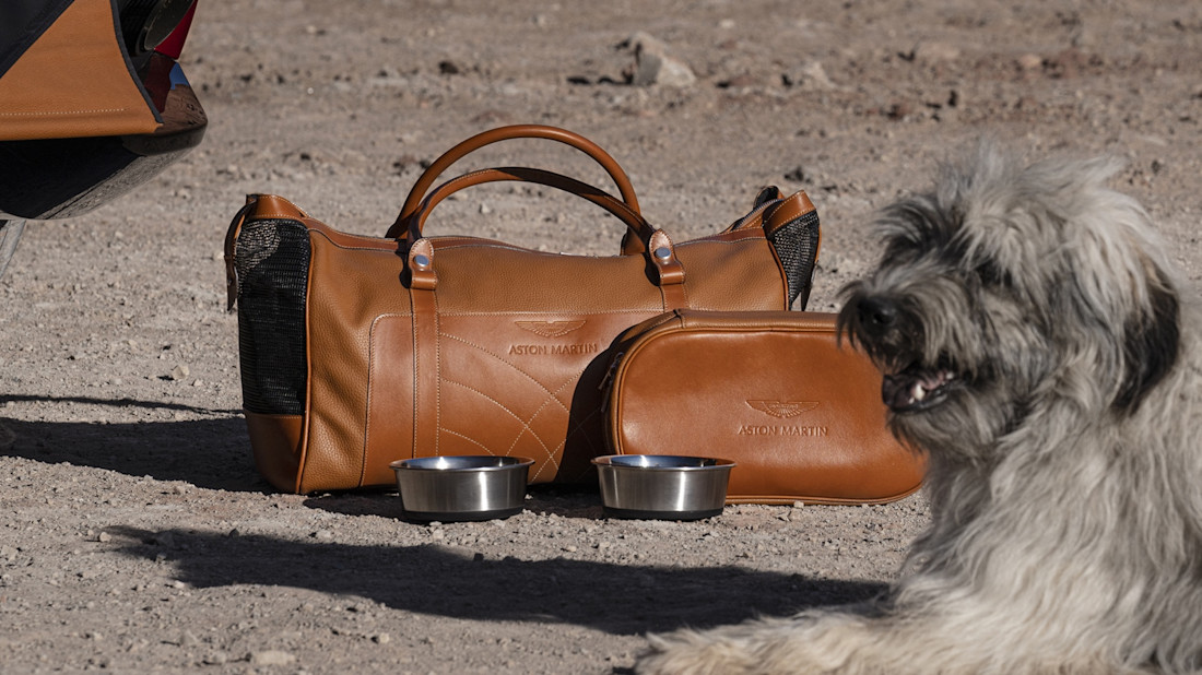 Aston_Martin_DBX39Pet_Pack03-jpg.jpg