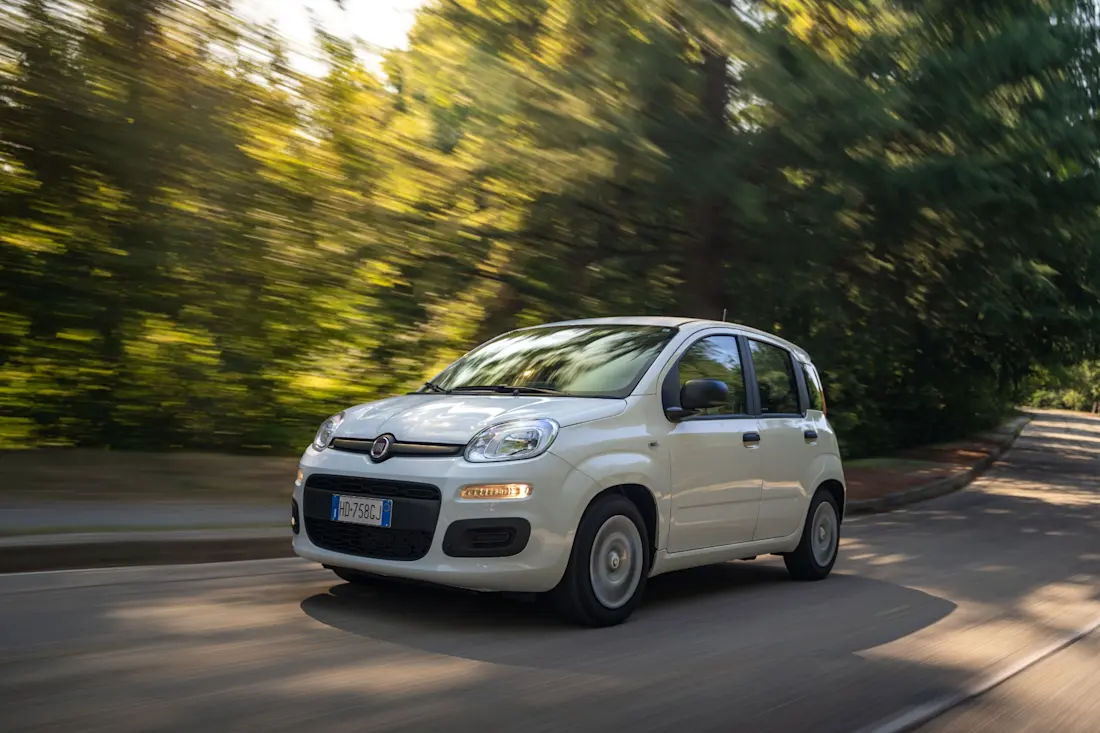 fiat-pandina-dinamica