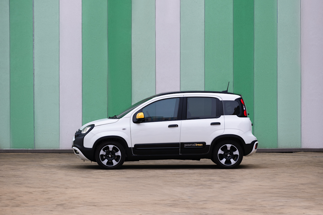 FiatPandina (1)
