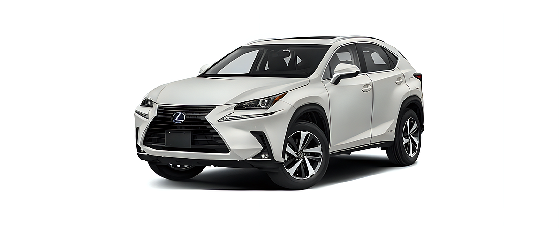 Lexus NX 2020 14