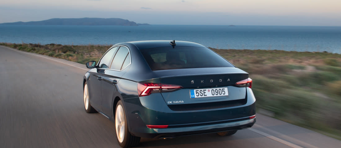 skoda-octavia-back-1100