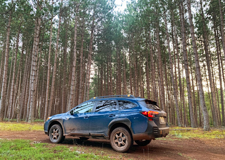 Editorial 2022 subaru outback wilderness 12 mg