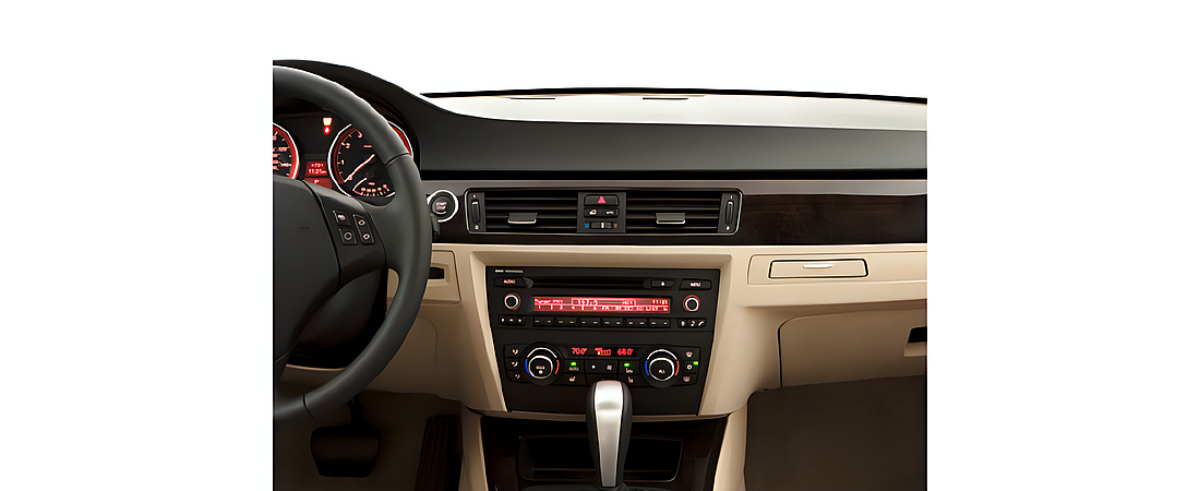 BMW 3 Series 2010 19