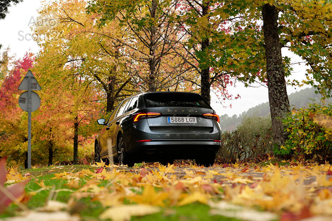 Prueba nuevo Skoda Octavia Combi 2.0 TDi 2020 Ruben Fidalgo (34).jpg