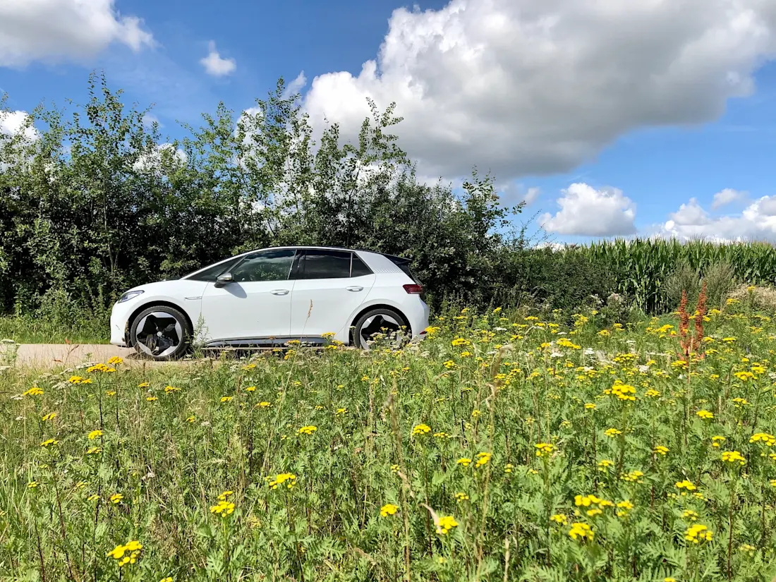 VW ID3 1ST Profile Wiese