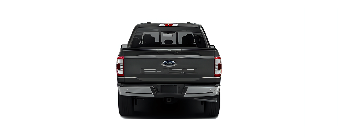Ford F-150 2022 98