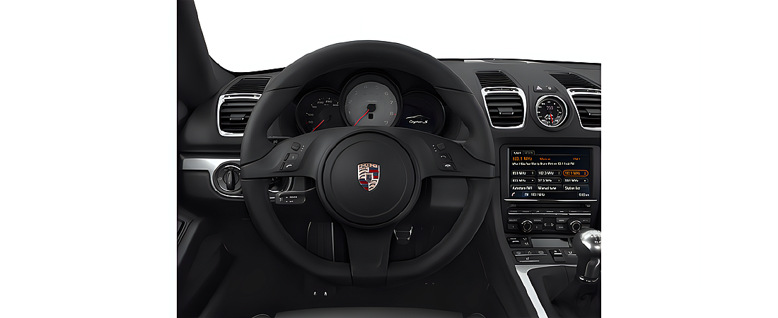 Porsche Cayman 2014 24