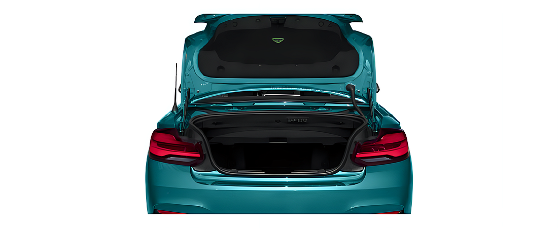 BMW 2 Series 2020 46