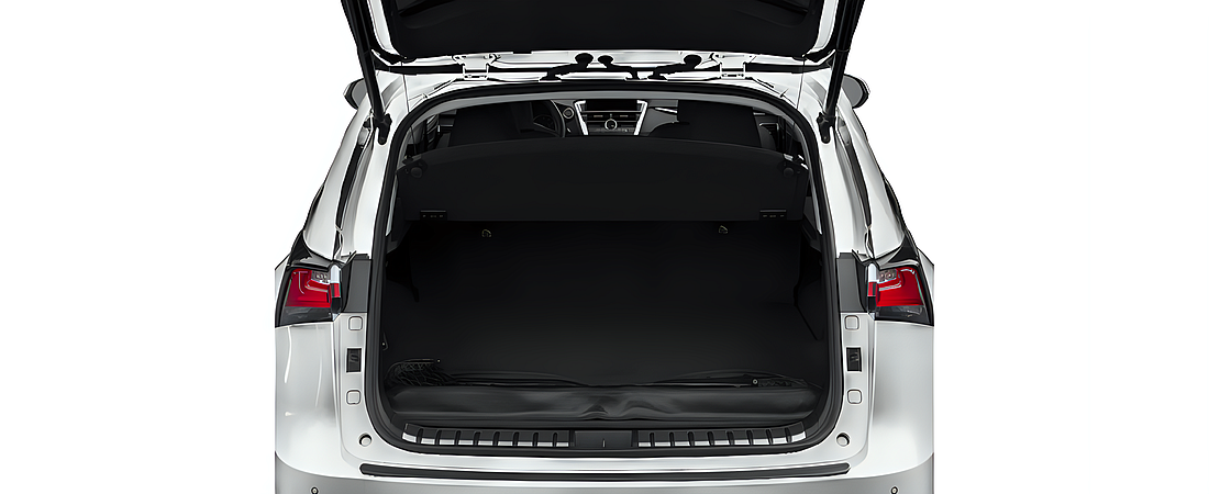 Lexus NX 200t 2015 12