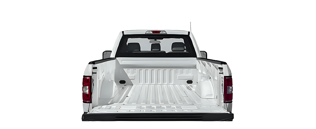 Ford F-150 2019 11