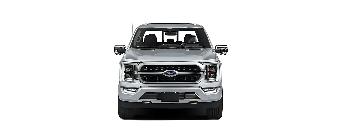 Ford F-150 2021 89
