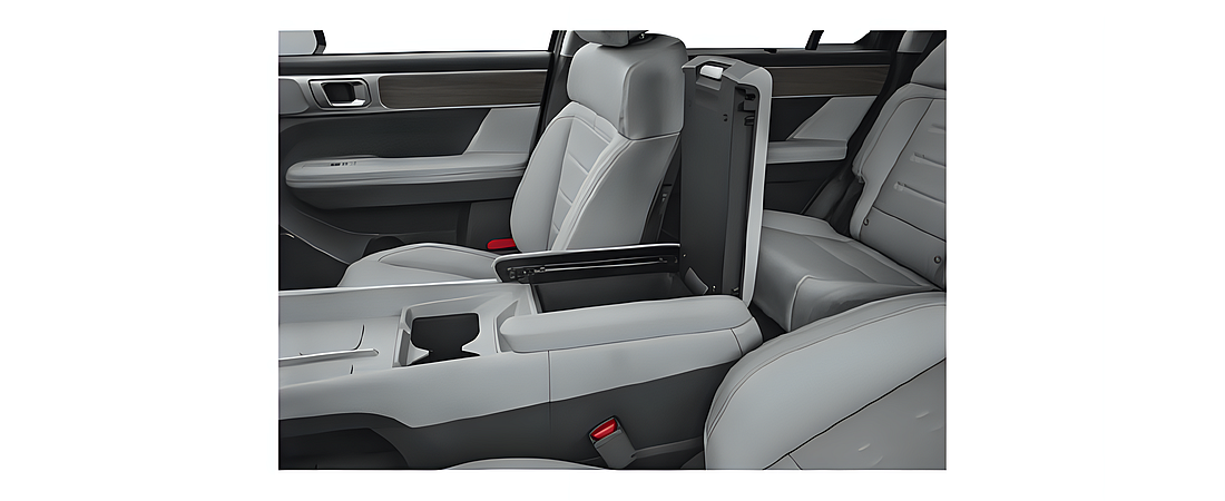 Hyundai Santa Fe 2024 28