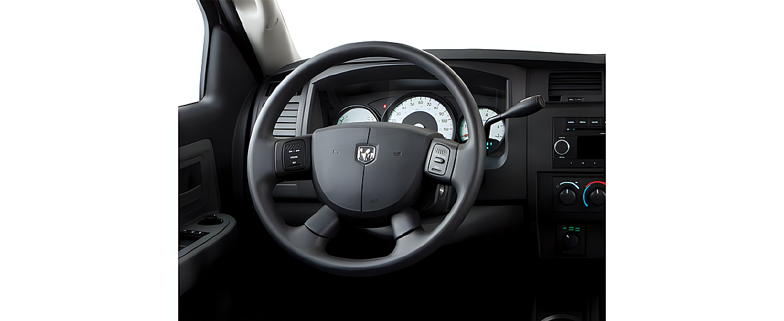 Dodge Dakota 2010 25