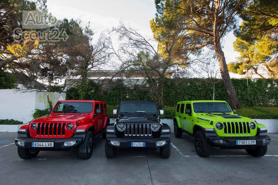 gama_jeep_4Xe_003.jpg