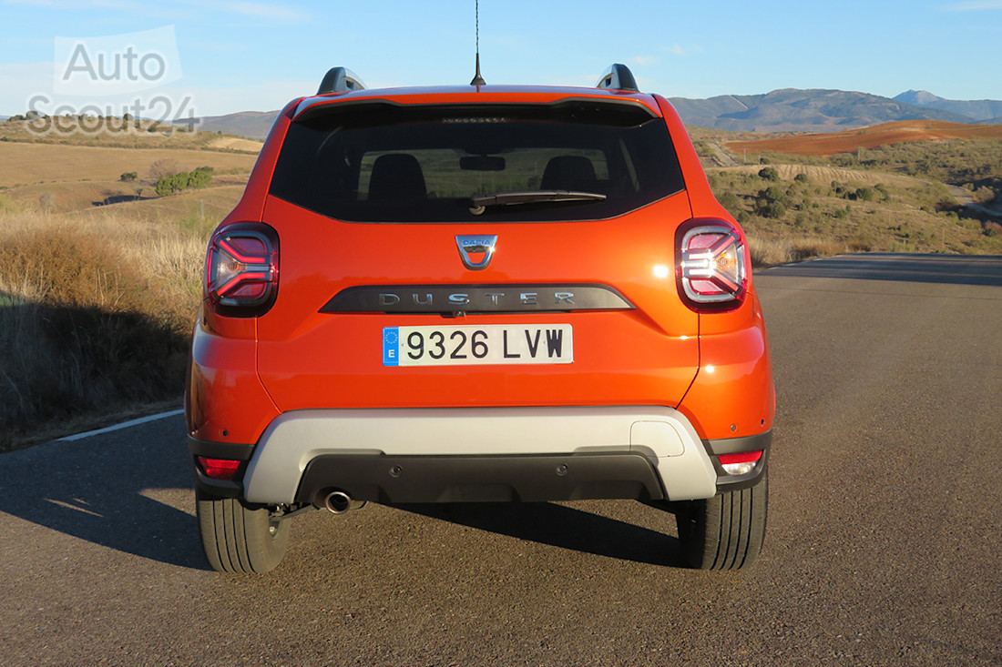 11_duster.JPG
