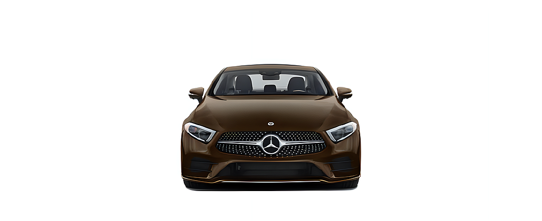 Mercedes-Benz CLS-Class 2021 4