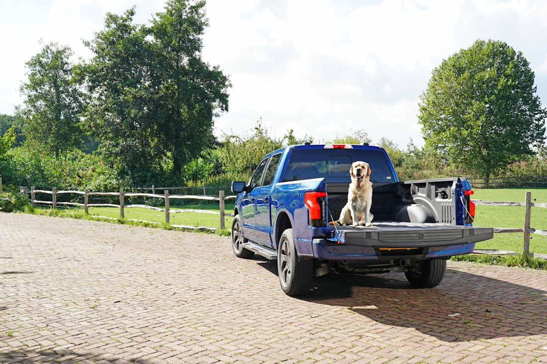 ford-f-150-lightning-2022-7.jpg