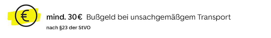 Bußgeld bei falschem Hundetransport