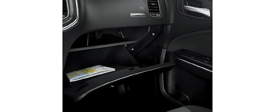 Dodge Charger 2015 15