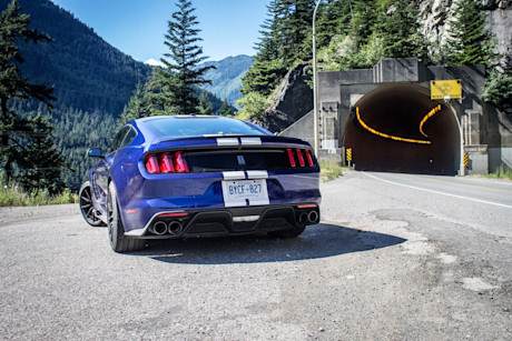 Editorial 02c bm 2016 ford mustang shelby gt350 horse sanctuary
