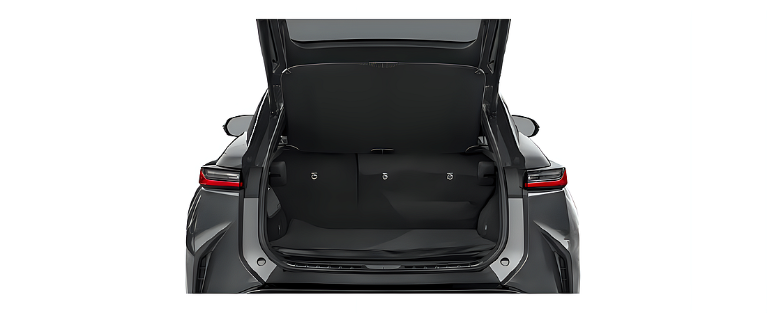 Lexus RZ 2025 10