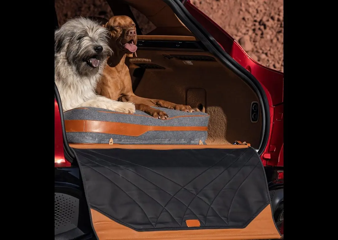 Aston Martin-DBX-2021-1280-27 Aston Martin-DBX-2021-1280-27