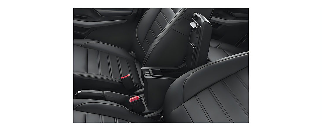 Ford EcoSport 2020 13
