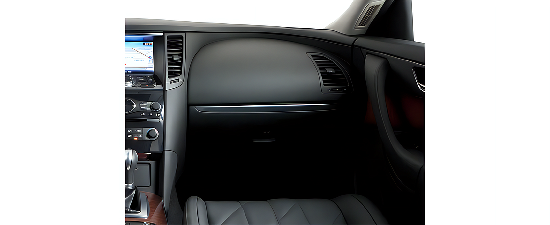 Infiniti FX50 2010 17