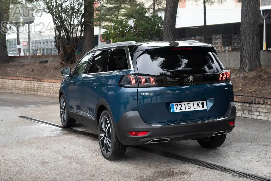 Peugeot 21 (1)