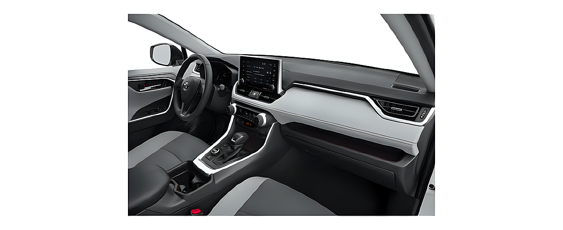 Toyota RAV4 2020 80