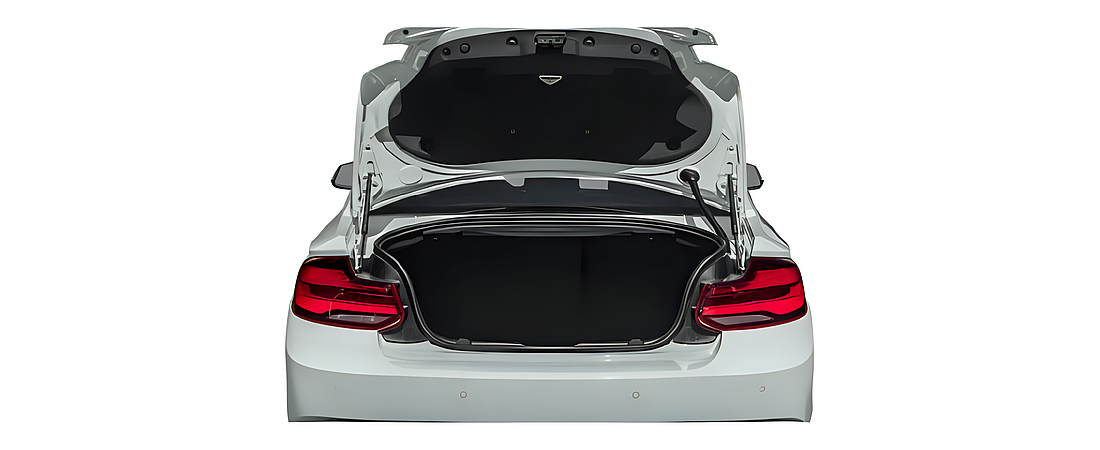 BMW 2 Series 2020 10