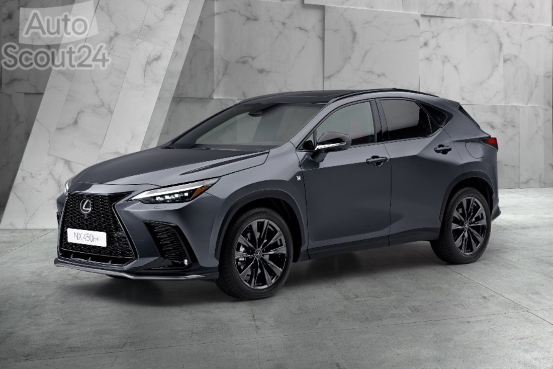 10 NX 450h+ (1).jpg
