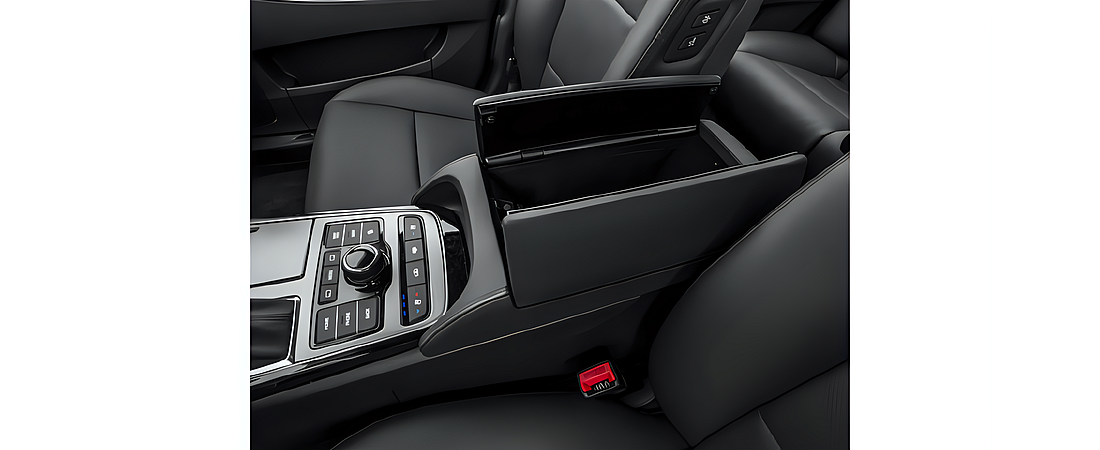 Hyundai Equus 2016 16