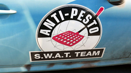 Editorial 31 bh mini takes the states 2016