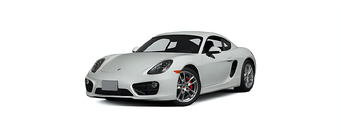 Porsche Cayman 2014 19