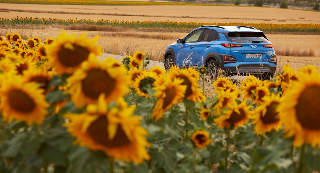 hyundai_kona_hybrid (15).jpg