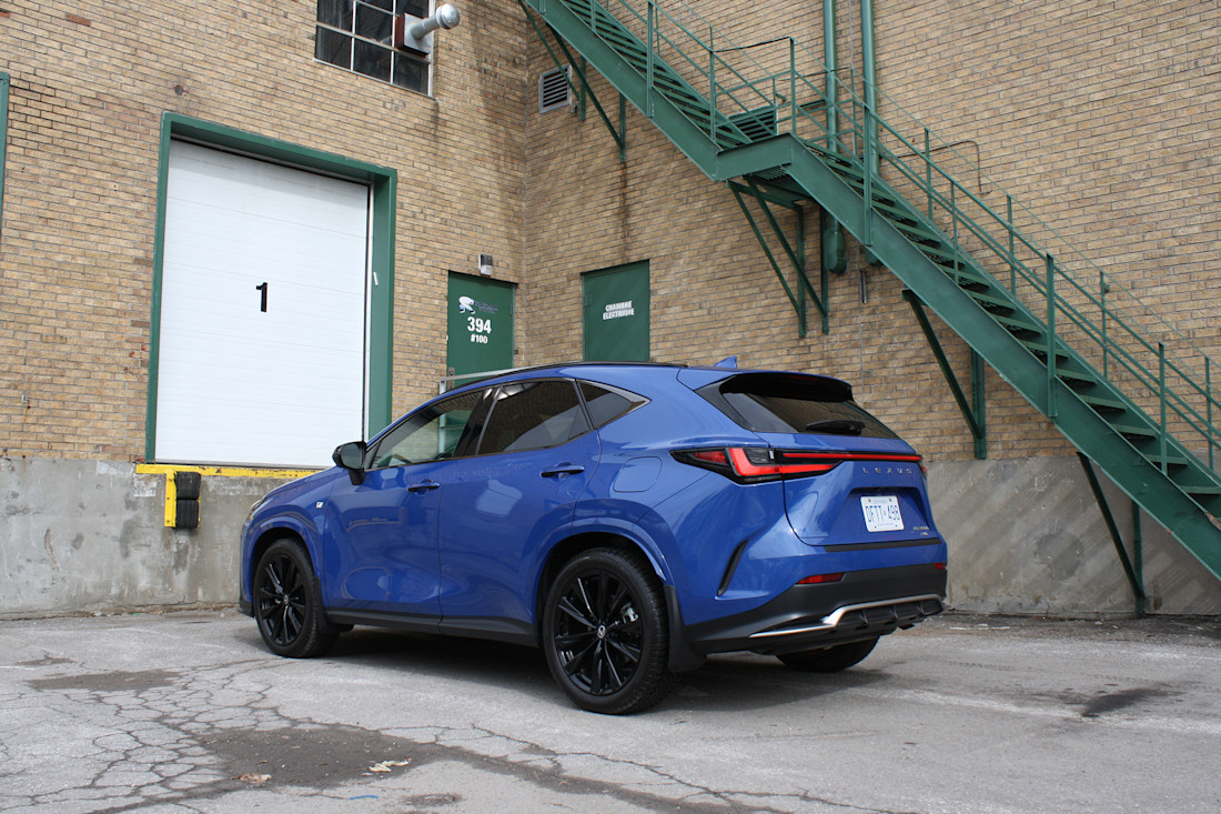 2026 Lexus NX350h - TD - DB - 260603 - 6.jpg