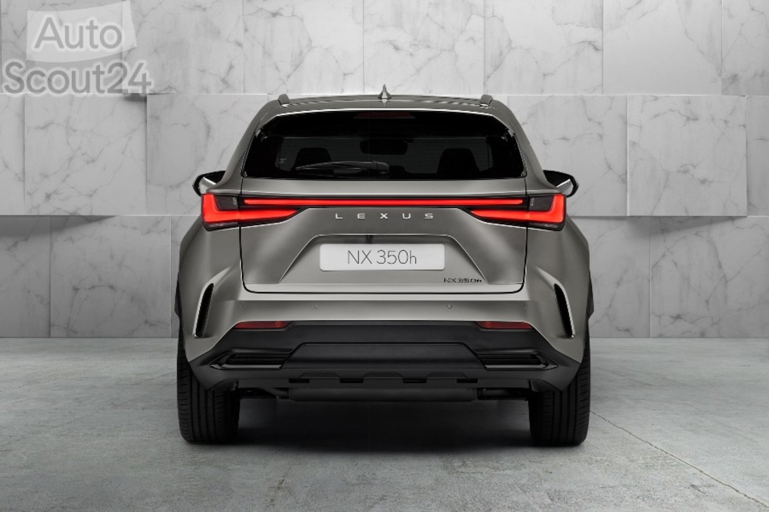 3 NX 350h (1).jpg
