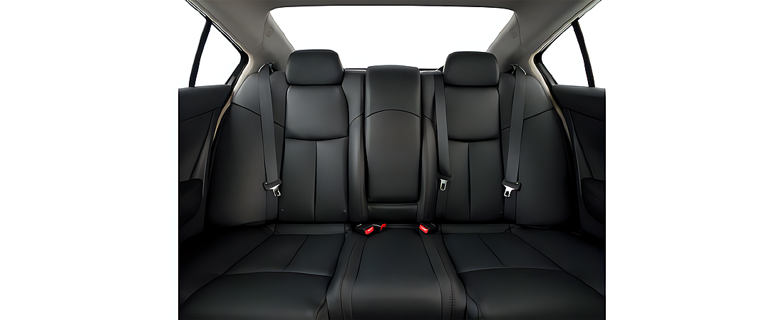Nissan Maxima 2010 14