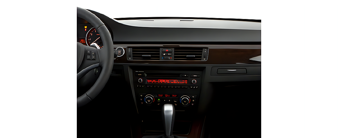 BMW 3 Series 2010 38